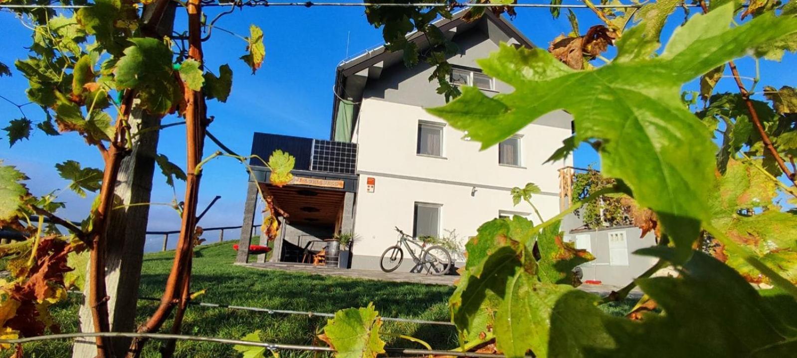 Dramlje Apartmaji Gracner מראה חיצוני תמונה